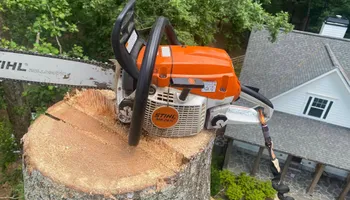 Tree Trimming for Pinedown LLC in Cherokee County, GA