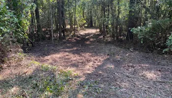 Land Clearing for South Mississippi Land Management LLC in Columbia, Mississippi