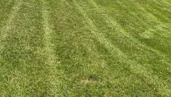 Lawn Maintenance for Gullion’s Lawn and Landscaping in DeMossville, KY