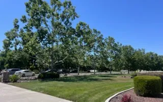 Tree Removal for Sammy's Tree Services in Sacramento, CA