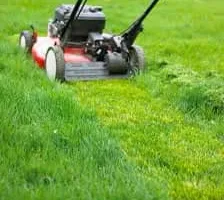 Lawn and Garden Equipment Repair for Busted Knuckles Equipment Repair and Reel Grinding in Centerville, MD