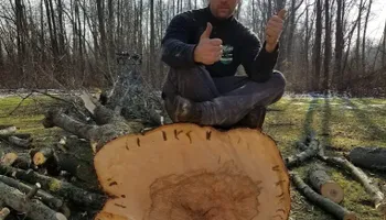 Tree Removal for Mays Tree and Stump Removal in Alden, NY