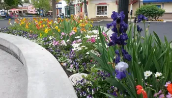 Defensible Space Fire Prevention for Martin Stanko Landscape Construction in Livermore, CA