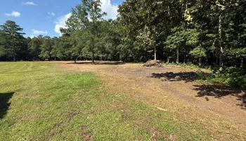 Land Clearing for Mud Creek Vegetation Management in Russellville, AL