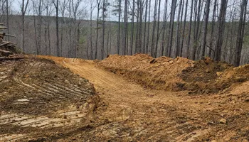 Land Clearing for Blessed Excavation LLC in Oneida, TN
