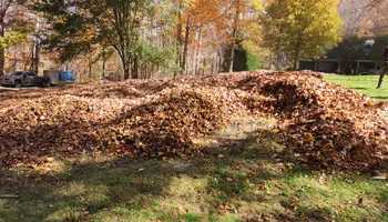 Tree Removal for Platas Tree Service  in Clyde, NC