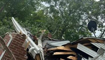 Tree Removal for DGD Outdoor Services LLC in Howell, MI