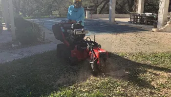 Tree Pruning for Braun Tree Service  in Floresville, Texas