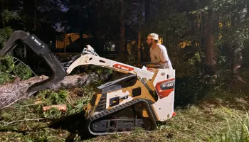 Tree Removal for Hawkins Tree Service & Land Management in Richmond Hill, GA