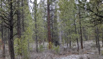 Tree Removal for Bailey's Cutting LLC in Bend, Oregon