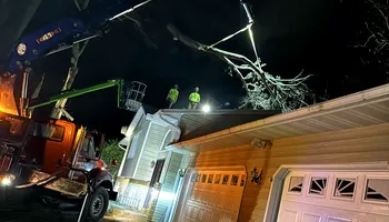Tree Removal for Down To Earth Tree Service in Red Wing,  Minnesota