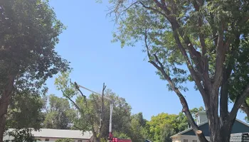 Tree Removal for Langston Tree & Landscape LLC in Canon City, CO