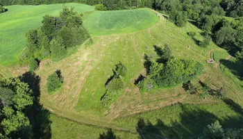 Wildlife & Hunting Property Management for Bluffside Forestry in Cedar Rapids, IA