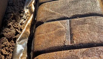 Landscape Curbing for Curbology in Lakeland, FL