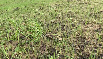 Hydroseeding for TS Hydroseeding in Morris,  MN
