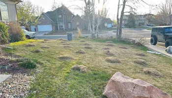 Mowing for Manscaped Lawn Care in Firestone, CO