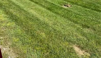 Fall Clean Up for Kingdom Lawn Care  in Shelbyville, TN