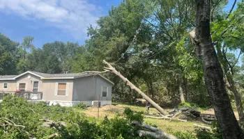 Tree Removal for JC Land and Tree Service in Kilgore, TX