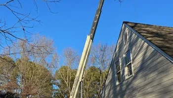 Tree Removal for Smith Tree Experts in Palmyra, VA