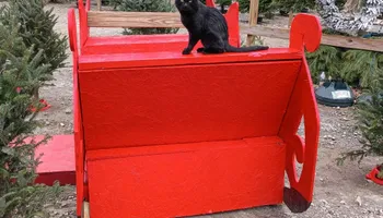 Pinestraw for BAM Another Pinestraw Lot in Flowery Branch, GA