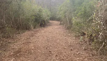 Land Clearing for South Mississippi Land Management LLC in Columbia, Mississippi