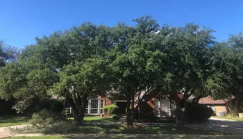 Tree Trimming for Twin Oak Solutions in Carrollton, TX