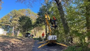 Tree Removal for Ross Family Tree Service LLC  in Hohenwald, TN
