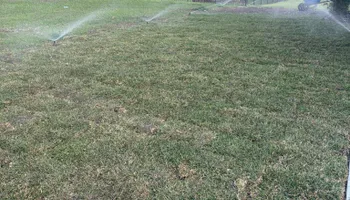 Fall Clean Up for Estrada All Pro Lawn Service in Auburndale, Florida