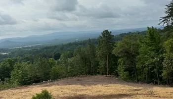 Land Clearing for A.P Land Management in Atlanta, Ga
