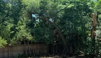 Tree Pruning and Trimming for All Around Guys Tree Service in Ocala, FL
