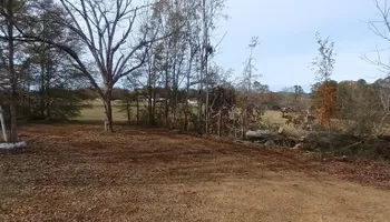 General Handyman Services for Goliath Tree Maintenance and Haul Away in Seneca, SC