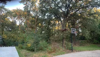 Tree Removal & Trimming for Teague Trees and Land Clearing in Rendon, TX