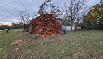 Land Clearing & Demolition for D&S Tree and Demolition Services in Laurens, SC