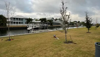Tree Removal for TREE BOYS in Ruskin, FL