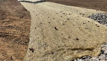 Drainage Solutions and Water Remediation for TrottCo Excavation in Shelbyville, TN