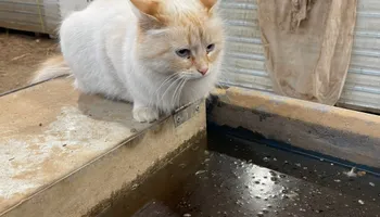 Plumbing Remodels for Mr. Pipe Dreams LLC in Colorado Springs, CO