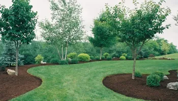 Mowing for Affordable Lawns and Trees in Oklahoma City, OK