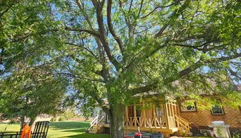 Tree Removal for Highborn Tree Service in Wheatfield, IN