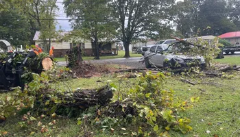 Tree Removal for Ross Family Tree Service LLC  in Hohenwald, TN