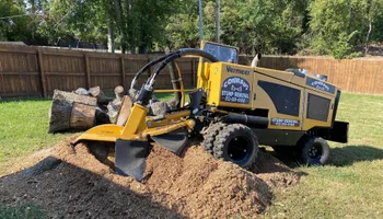 Stump Removal for Conrad's Stump Removal in Columbus, IN