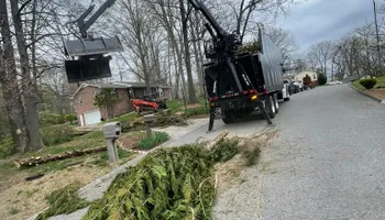 Tree Removal for Lucky’s Tree Removal and Landscape Services in Knoxville, TN