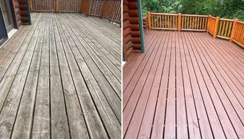 Interior Painting for Mr. Mole's Painting in Bemidji, MN