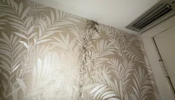 Water Mitigation for N&D Restoration Services When Disaster Attacks, We Come In in Cape Coral,  FL