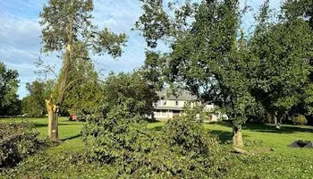 Tree Removal for Melnyk’s Tree Service in Salem County, NJ