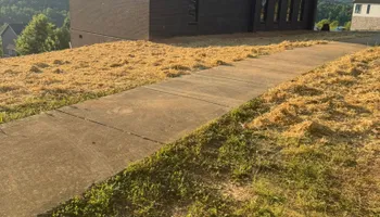 Land Clearing for S&M DIRT TECH LLC in Knoxville, TN