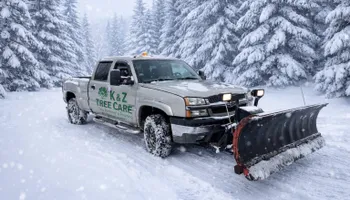 Snow Removal  for K and Z Tree Care in Isanti County, MN