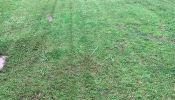 Mowing for Bega Landscape Services in Atlanta, Georgia