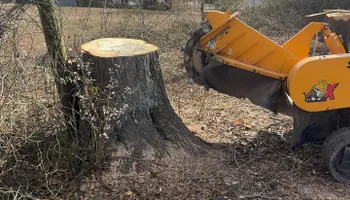 Stump Removal for J&K Stump Grinding in Detroit, MI