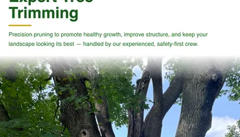 Tree Removal for Dittmer Tree Service in Davenport, IA