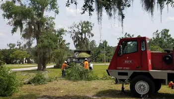 Tree Removal for Daniel Hickey’s Tree Service in DeLand, FL